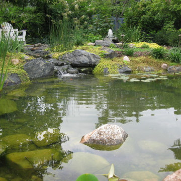 Koi Ponds and Water Gardens