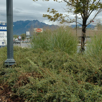 Thirty one hundred south UTA park & ride water wise