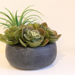 Vignettes - Decorative Accents