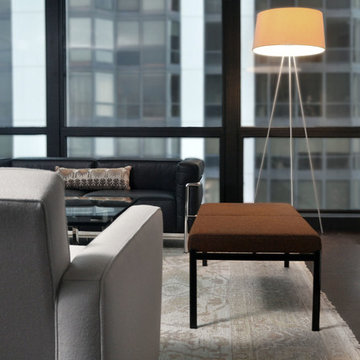 Mies van der Rohe Condo