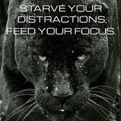Karyn Lynn's photo