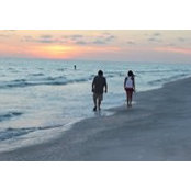 Lisa Sterling's photo