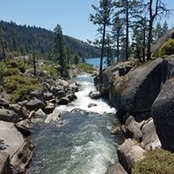 William Merritt's photo