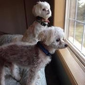 Lori Lien's photo