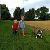 Foto von Julia Schuermann