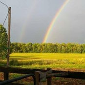 Foto von Sarah Gill