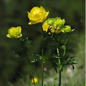 Maria Vârva's photo