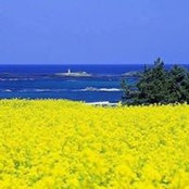 Mikhail Filimonov's photo