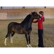 Jackie Murray's photo