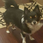 Connie Nelson's photo