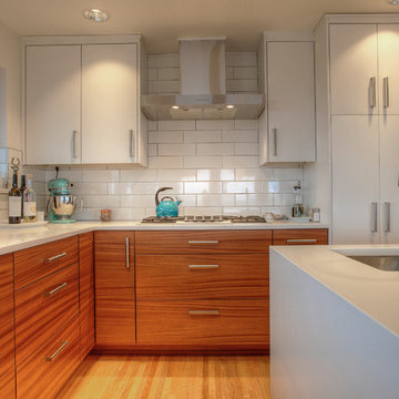 Mid-Century View House