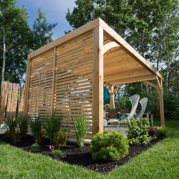 Privacy Screens