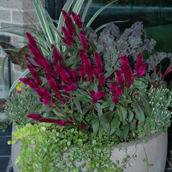 Various containers - Outdoor Pots And Planters