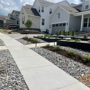 Xeriscape Haven - Castle Pines, CO