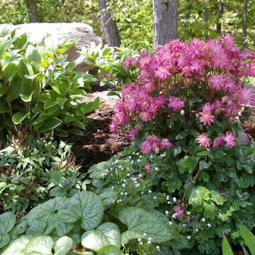 A Landscape of Constant Color
