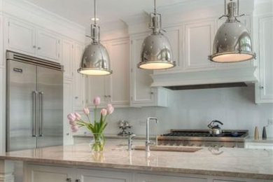 Example of a minimalist kitchen design in Chicago