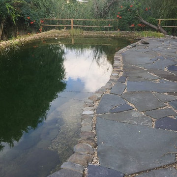 Natural Swimming Pool