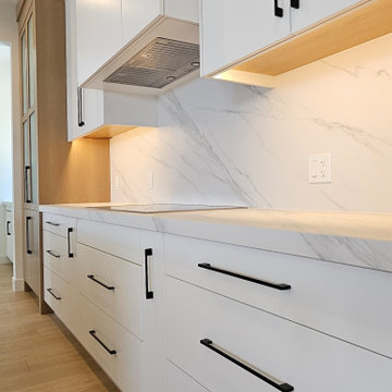 Sintered Stone Countertops and Cabinets, Book Shelf, Vanities