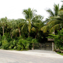 front yard