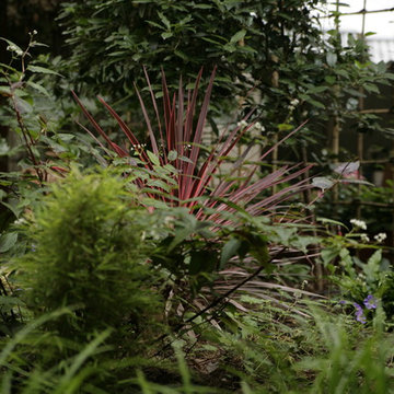 Jardin balinais au coeur de Paris