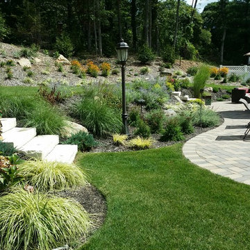 Backyard landscape design