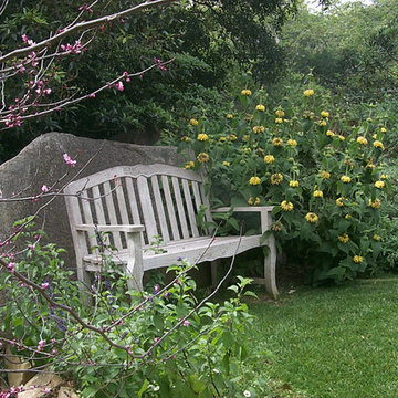 ROMANTIC RANCH