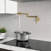 STYLISH Stainless Steel Wall Mount  Pot Filler Folding Stretchable