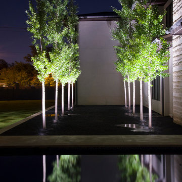 Lambert's Landscape Project