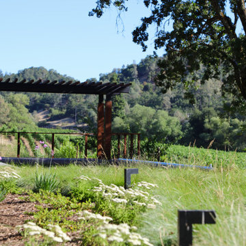 Poolside Rendezvous in Wine Country, Healdsburg