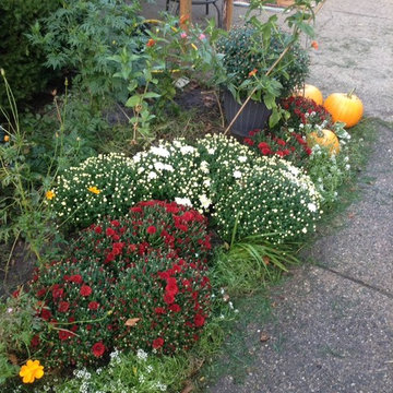 gardens