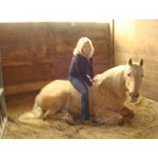 Judi Petersen's photo