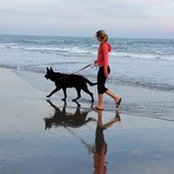 Dawn Orvig's photo