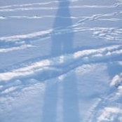 Ilona Merzin's photo