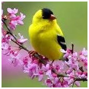 Kelly Chambers's photo