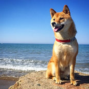 Antonella Ruberto's photo