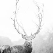 Tim Jackson's photo