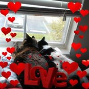 Debra Wold's photo