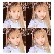 Iris Wangさんの写真
