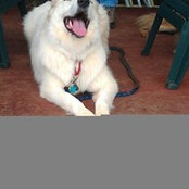 Michelle Crampo's photo