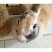 Dayle Bones's photo