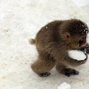 Shannon Johlic's photo