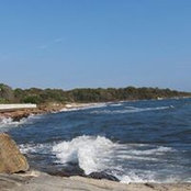 Foto de Deborah Lyons