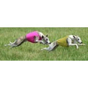 Frances McHugh's photo