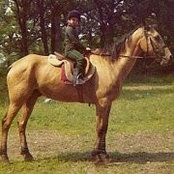 Diane Berry Yakels billede