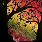 Tabatha Hoskins's photo