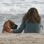 Mary Anne Amato's photo