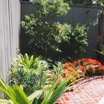 Lower State Street | Tropical Foliage and Seasonal Color