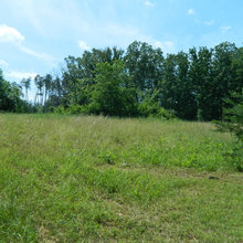 2.5 Acres and NO HOA Fees! What else could you ask for?