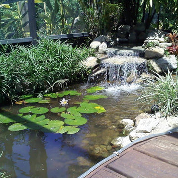 Florida Friendly Landscaping