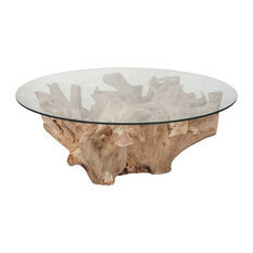 Teak Root Coffee Table